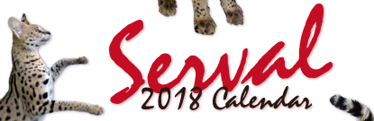 Serval カレンダー