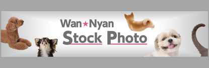 WanNyan Stock Photo